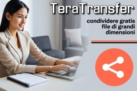 TeraTransfer: condividere gratis file di grandi dimensioni