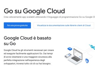 Screenshot sito: Go su Google Cloud