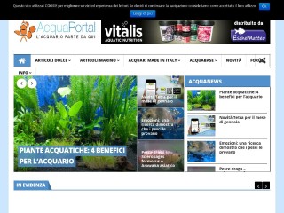 Screenshot sito: AcquaPortal