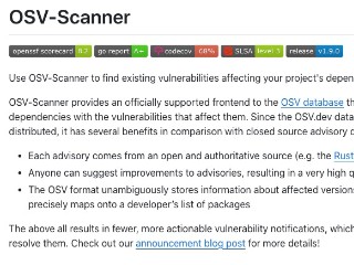 Screenshot sito: OSV-Scanner